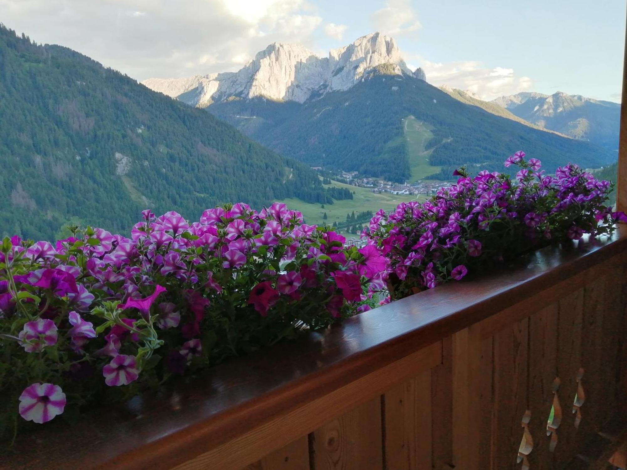Villetta Muncion Pozza di Fassa Exteriér fotografie