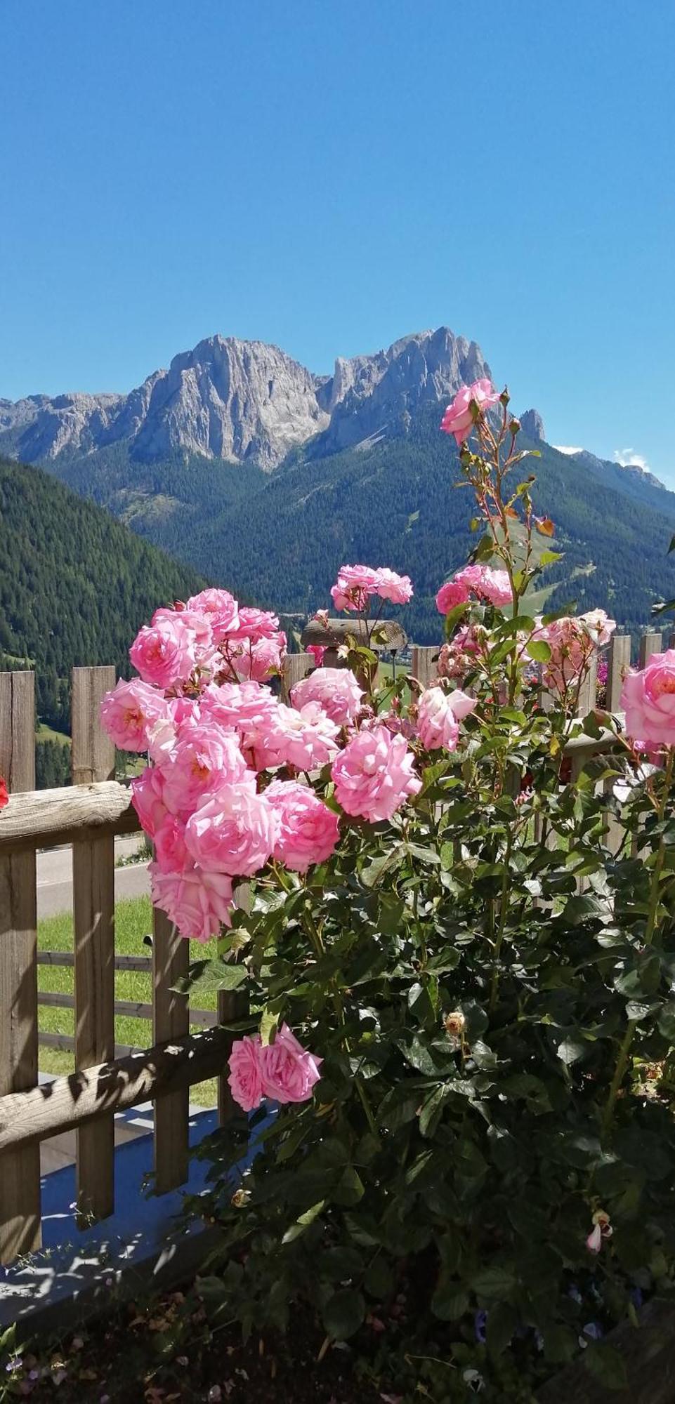 Villetta Muncion Pozza di Fassa Exteriér fotografie